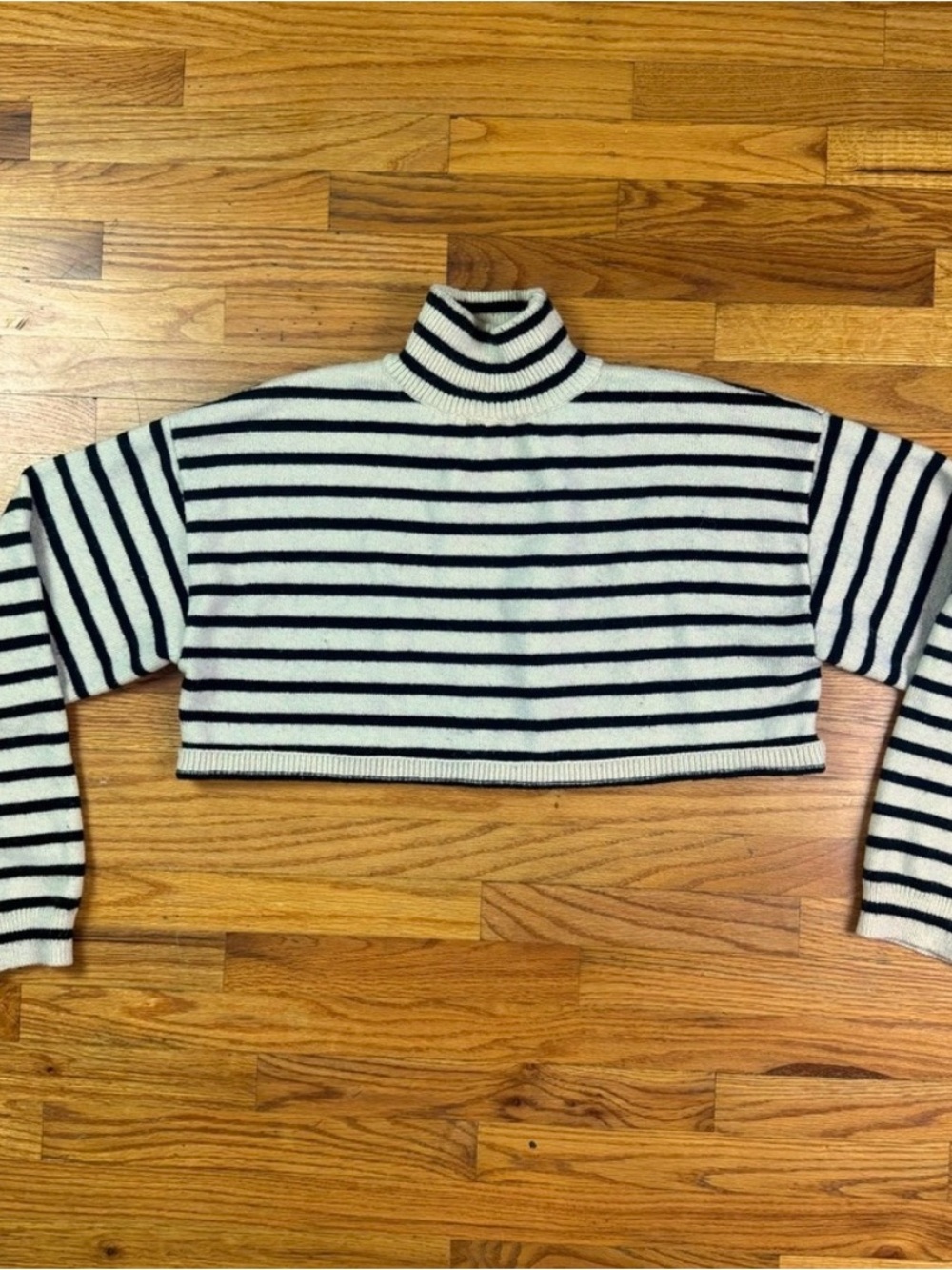 Cider Cream and Black Striped Cropped Turtleneck Sweater - Picture 5 of 7